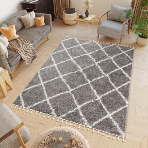 Vloerkleed Boho met Franjes Grijs Ruiten Hoogpolig