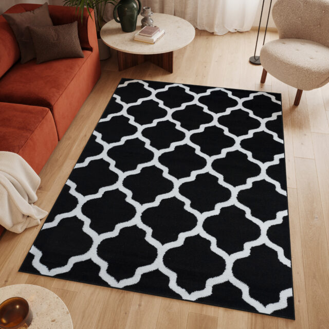 Vloerkleed Luxury Zwart Wit Geometrisch Trellis