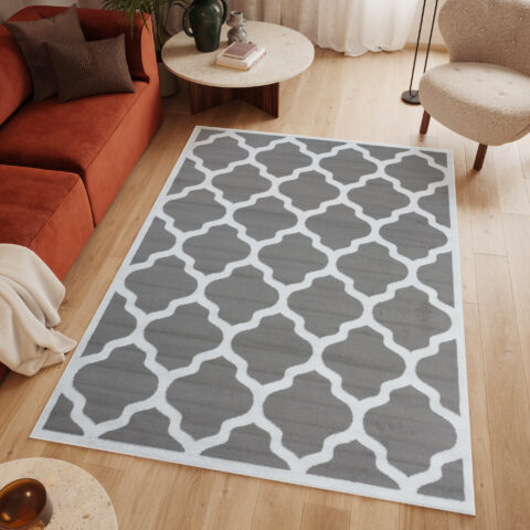 Vloerkleed Luxury Grijs Wit Geometrisch Trellis Frame