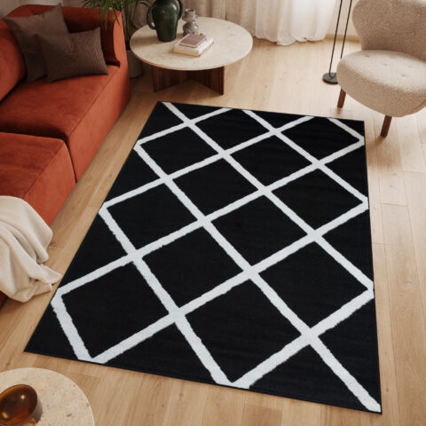Vloerkleed Luxury Zwart Wit Geometrisch Geruit