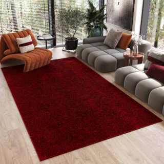 Vloerkleed Noyan Rood Modern Antislip