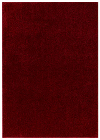 Vloerkleed Noyan Rood Modern Antislip