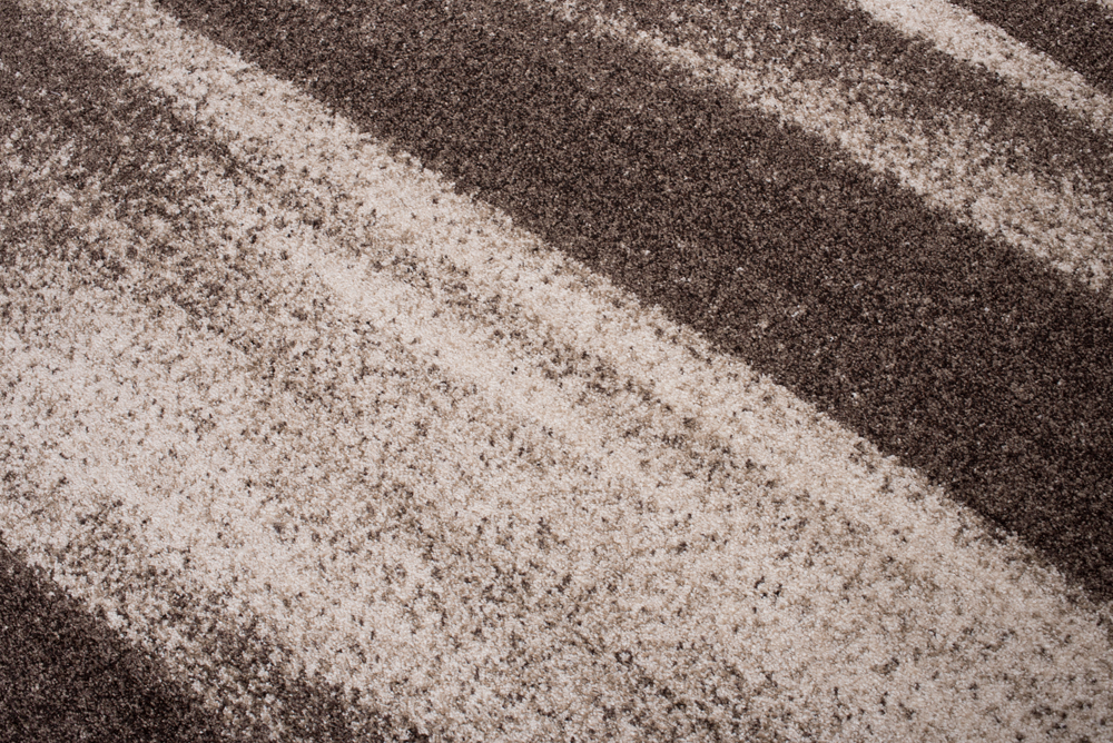 Vloerkleed Sari Licht Bruin Abstract