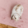 Vloerkleed Lumi Vierkant Roze Antislip