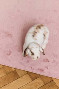 Vloerkleed Lumi Vierkant Roze Antislip