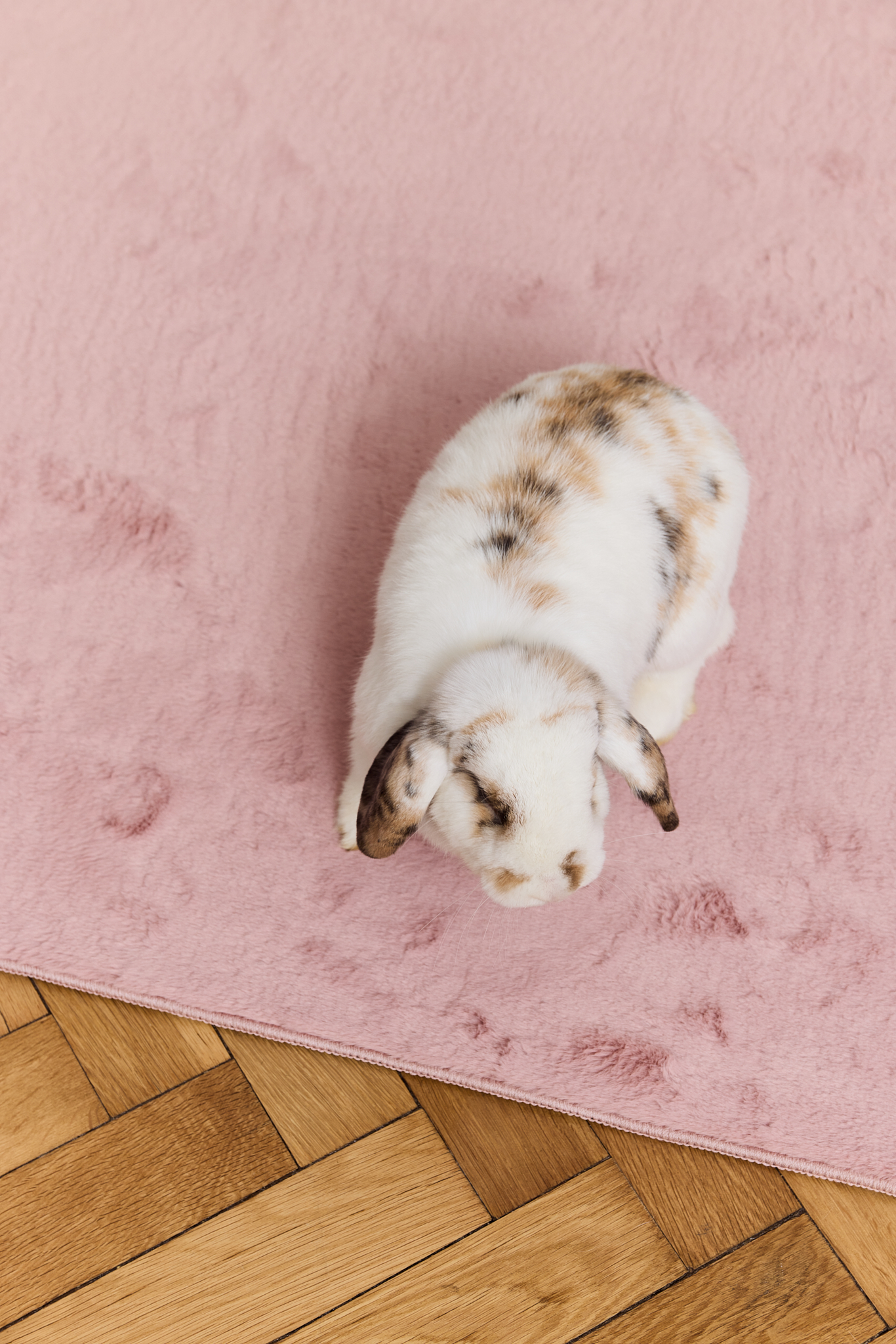 Vloerkleed Lumi Vierkant Roze Antislip
