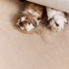 Vloerkleed Lumi Rond Beige Antislip