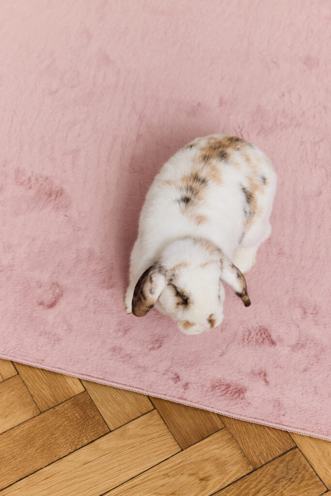 Vloerkleed Lumi Roze Antislip