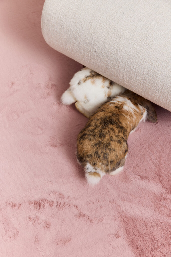 Vloerkleed Lumi Rond Roze Antislip