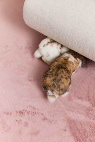 Vloerkleed Lumi Vierkant Roze Antislip
