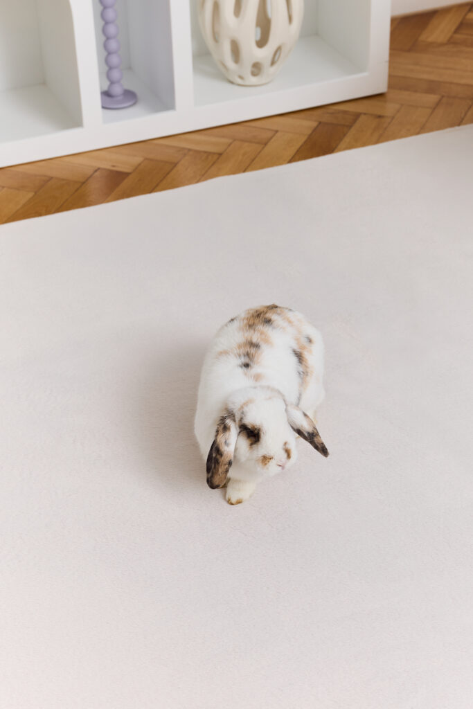 Vloerkleed Lumi Vierkant Crème Antislip