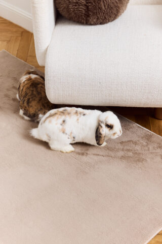 Vloerkleed Lumi Rond Bruin Antislip