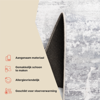 Vloerkleed Ash Lichtgrijs Antislip