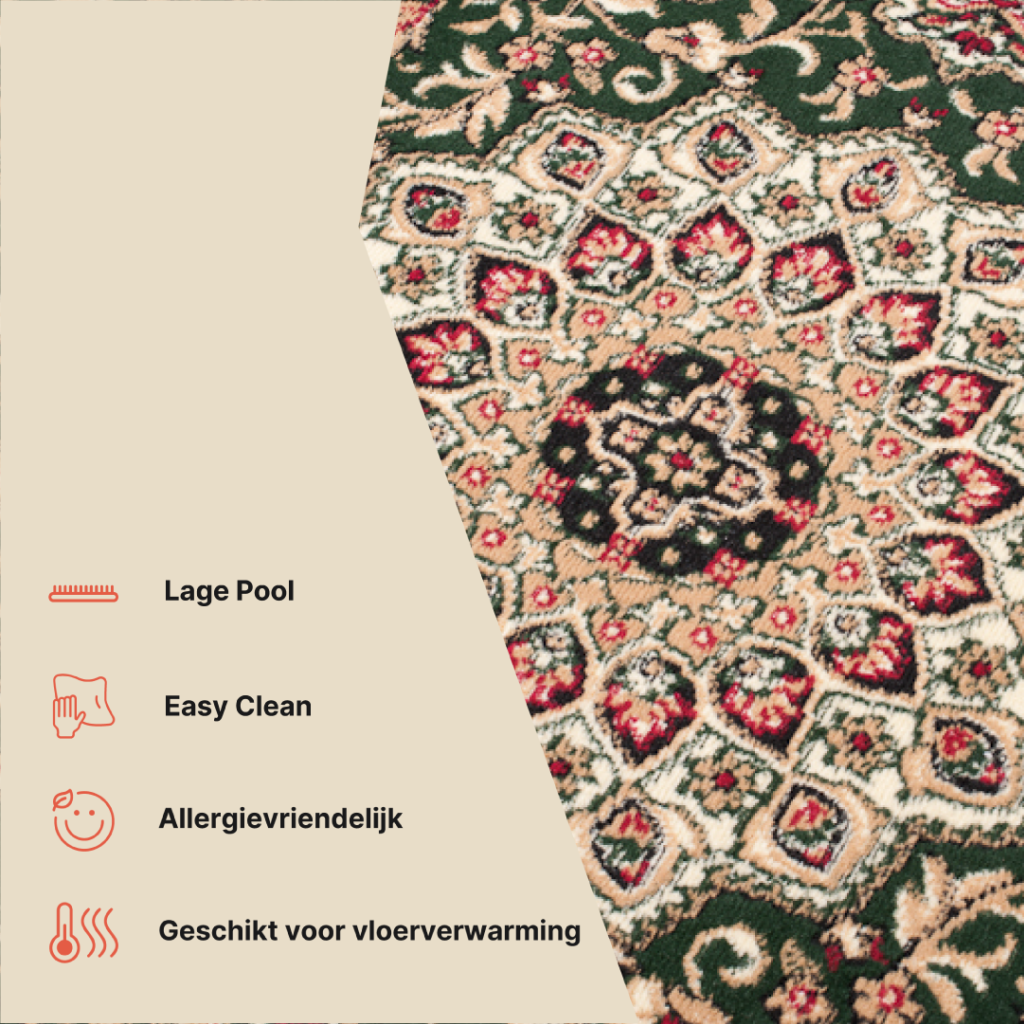 Vloerkleed Atlas Groen Traditioneel Rozet Frame