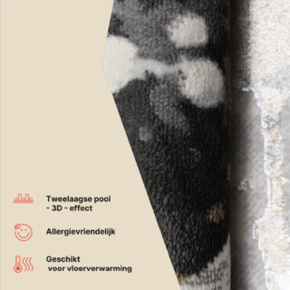 Vloerkleed Golden Grijs Creme Abstract